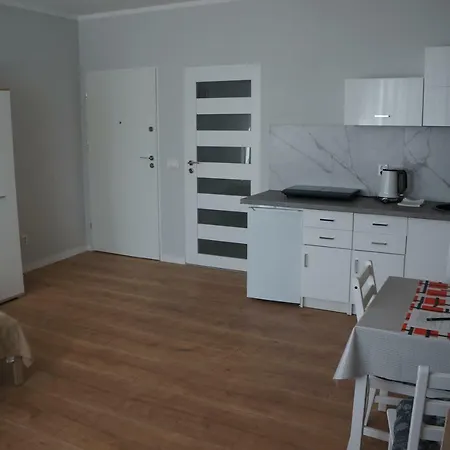 Lägenhet Z Klimatem Poznań