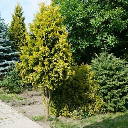 Z Klimatem Lägenhet Poznań