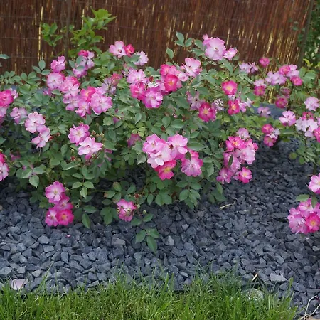 Z Klimatem Apartment *