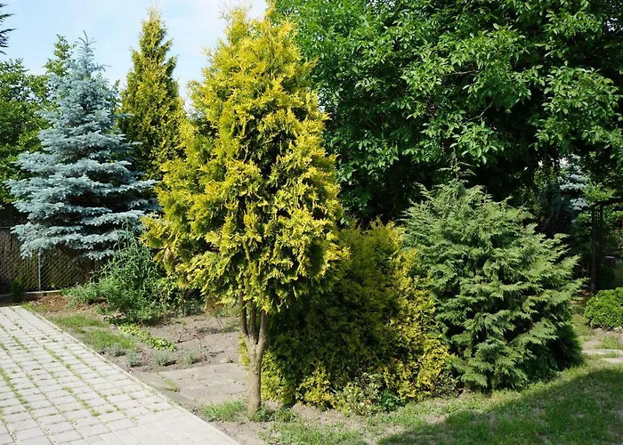 Z Klimatem Lejlighed Poznań